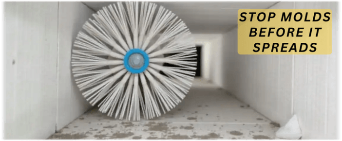 Air Duct Mold Removal in Boston MA