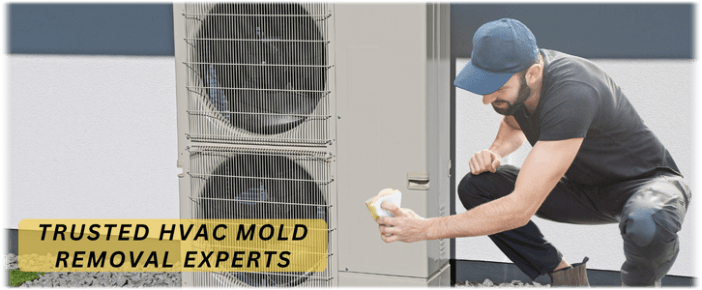 HVAC Mold Removal Boston MA